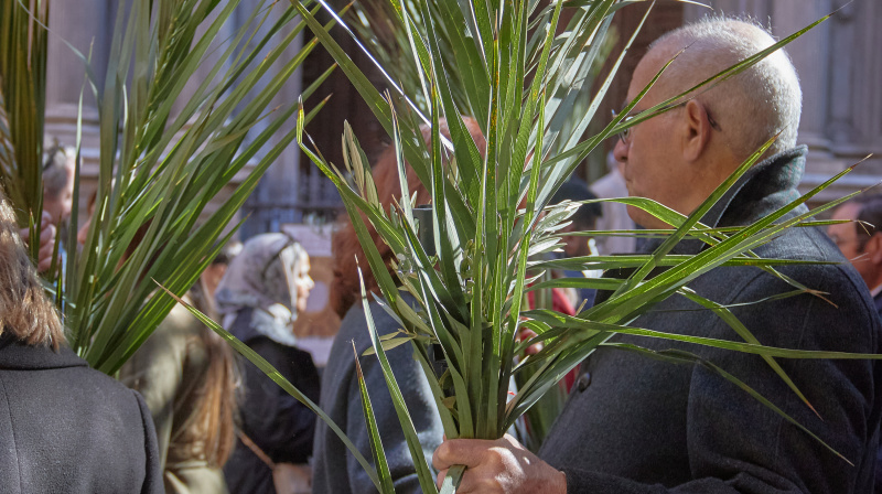 Domingo de Ramos en Granada