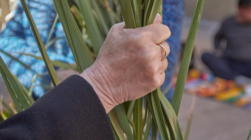 Domingo de Ramos en Granada
