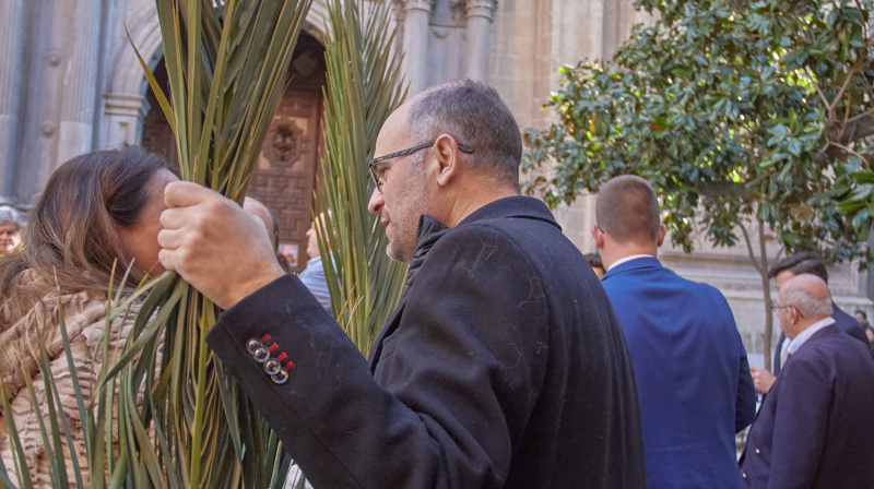 Domingo de Ramos en Granada