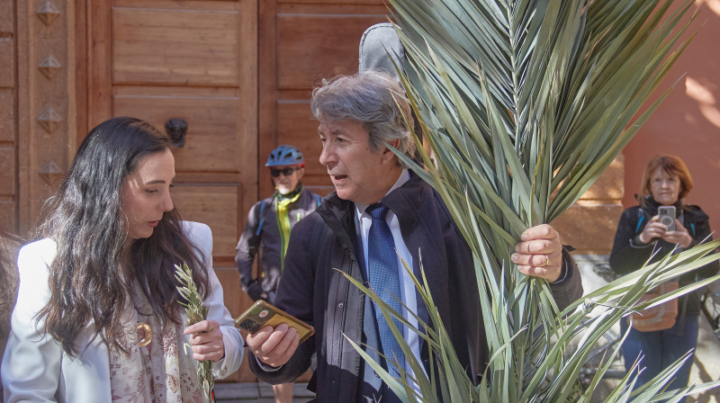 Domingo de Ramos en Granada
