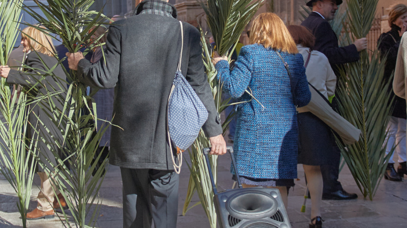 Domingo de Ramos en Granada