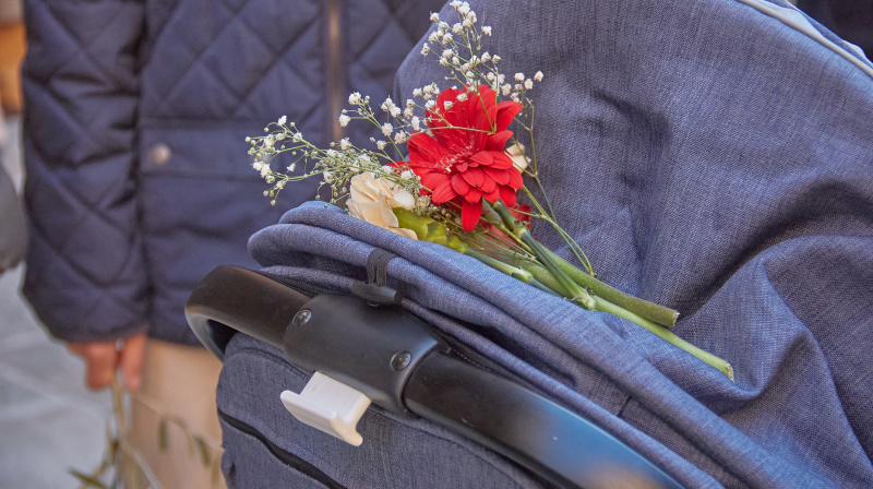Domingo de Ramos en Granada