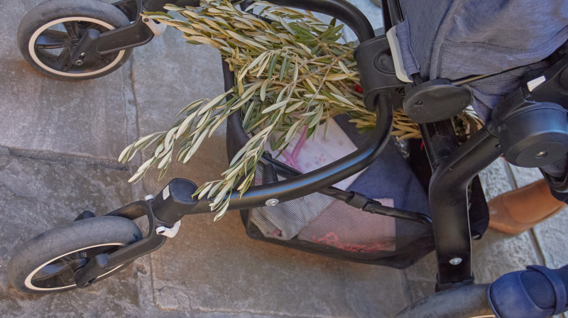 Domingo de Ramos en Granada
