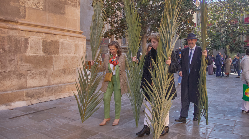 Domingo de Ramos en Granada