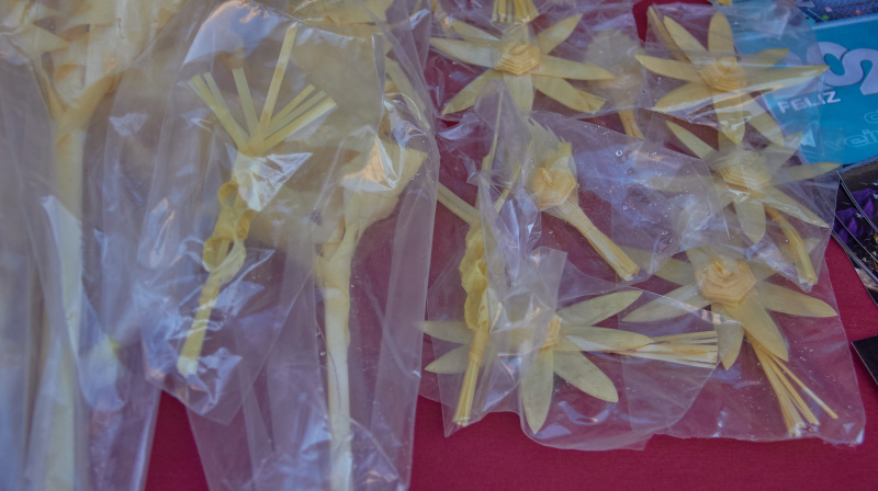 Domingo de Ramos en Granada