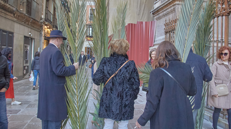 Domingo de Ramos en Granada