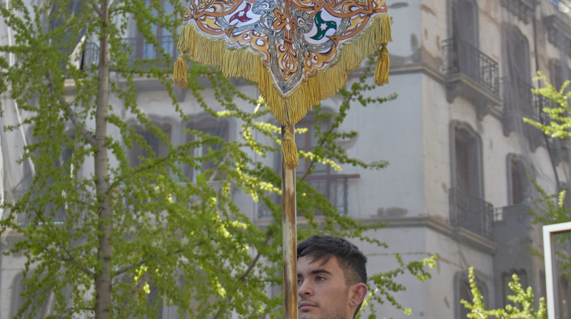 Domingo de Ramos en Granada