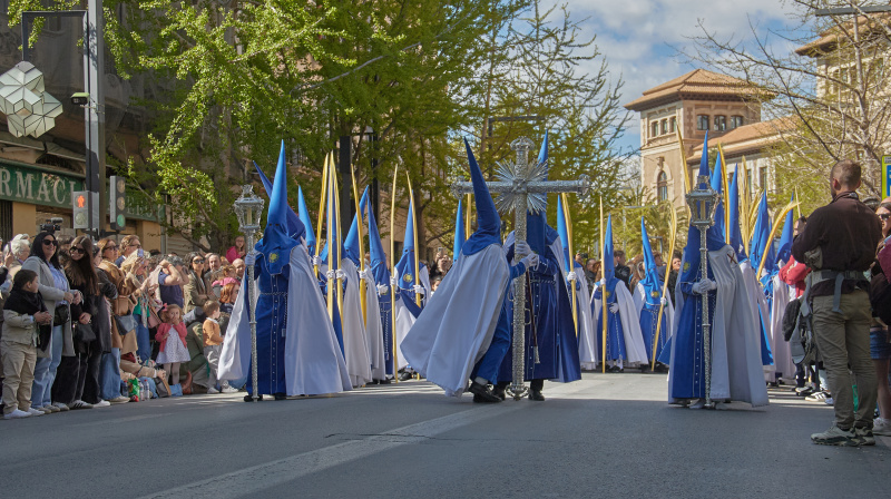Domingo de Ramos en Granada