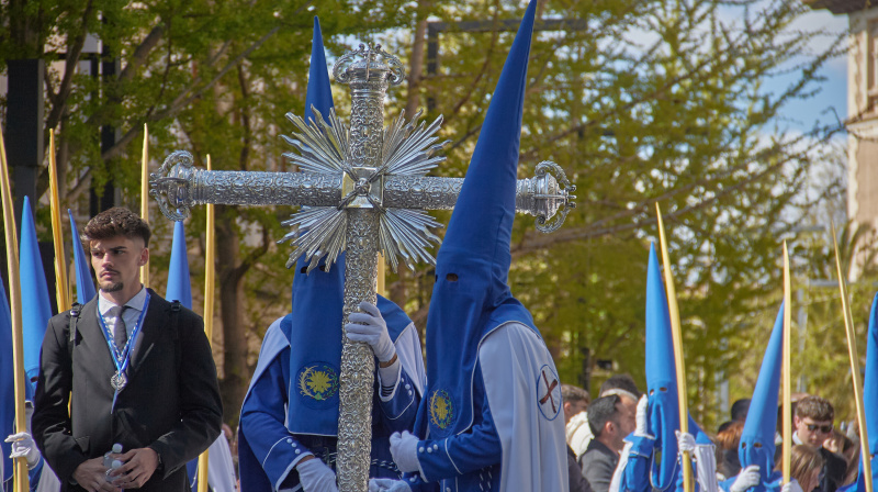 Domingo de Ramos en Granada