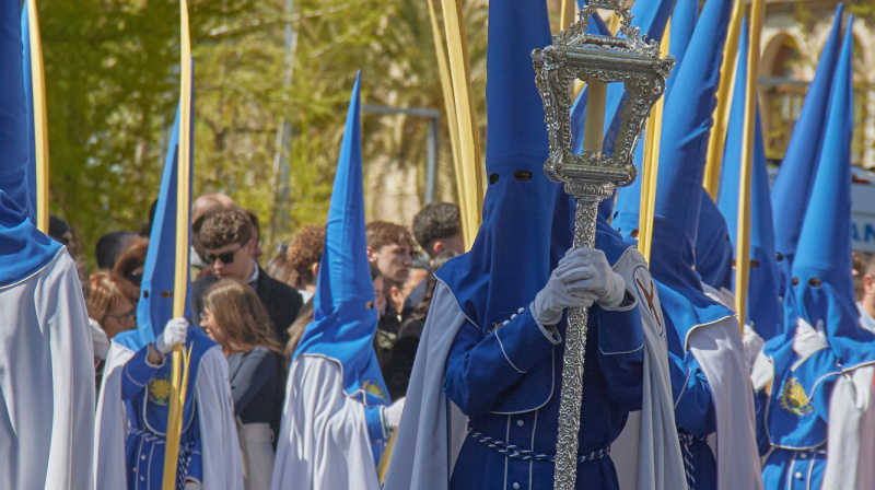 Domingo de Ramos en Granada