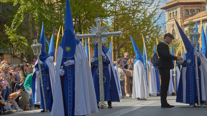 Domingo de Ramos en Granada