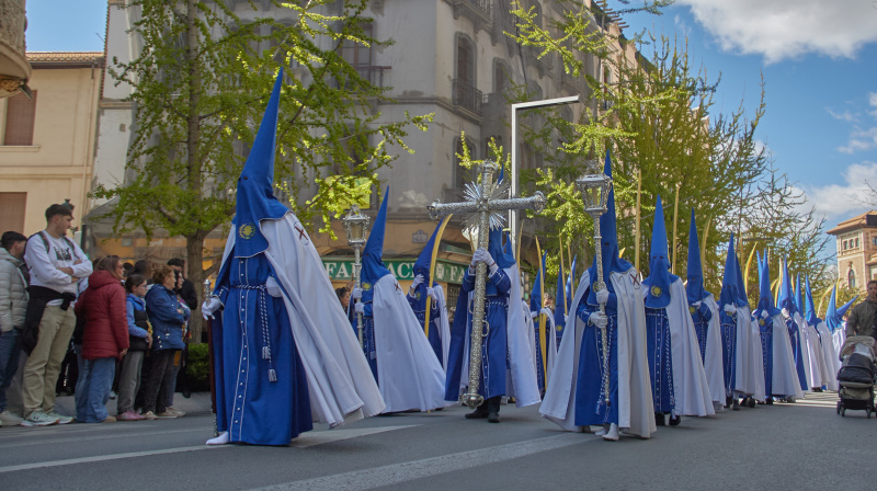 Domingo de Ramos en Granada