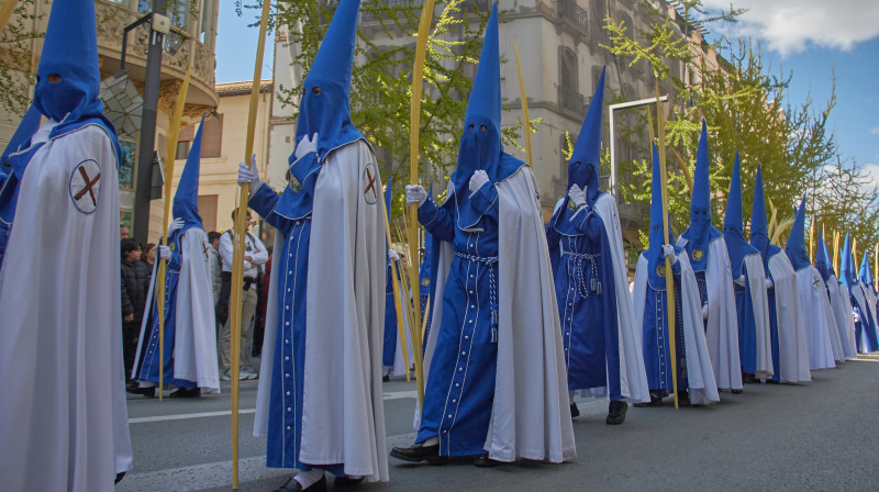 Domingo de Ramos en Granada