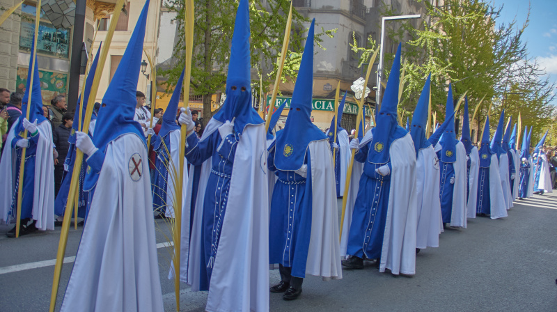 Domingo de Ramos en Granada