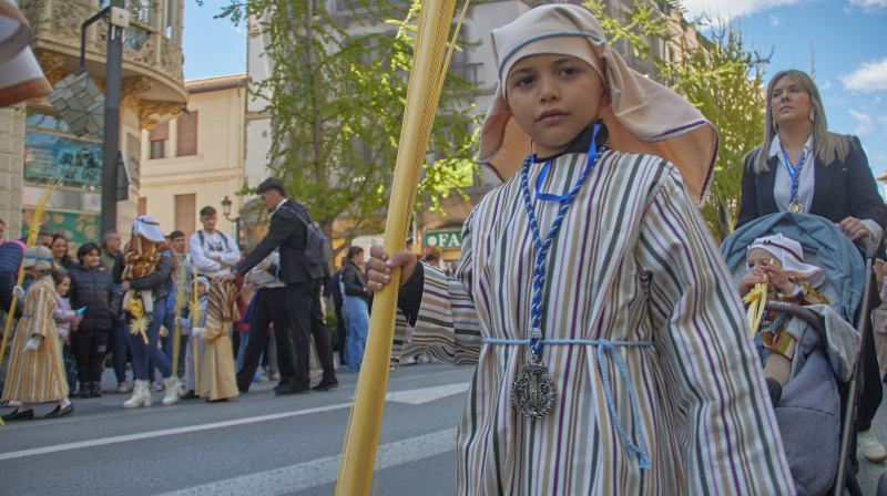 Domingo de Ramos en Granada
