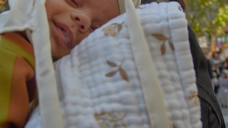 Domingo de Ramos en Granada