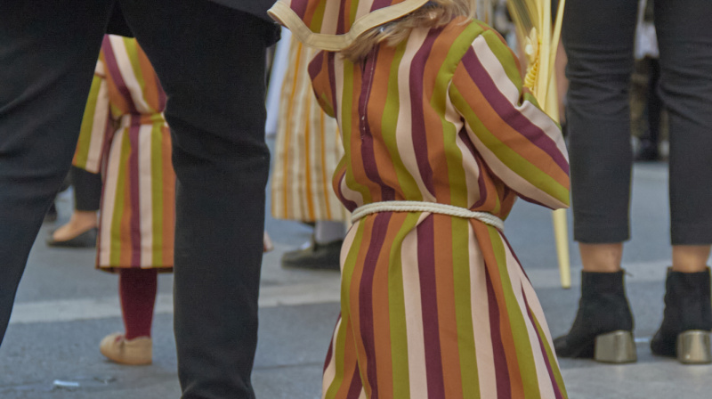 Domingo de Ramos en Granada