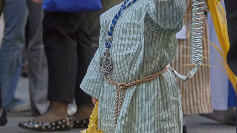 Domingo de Ramos en Granada