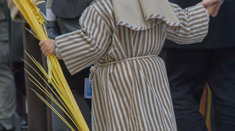Domingo de Ramos en Granada