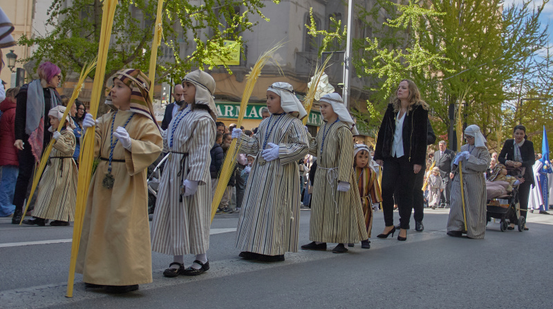 Domingo de Ramos en Granada