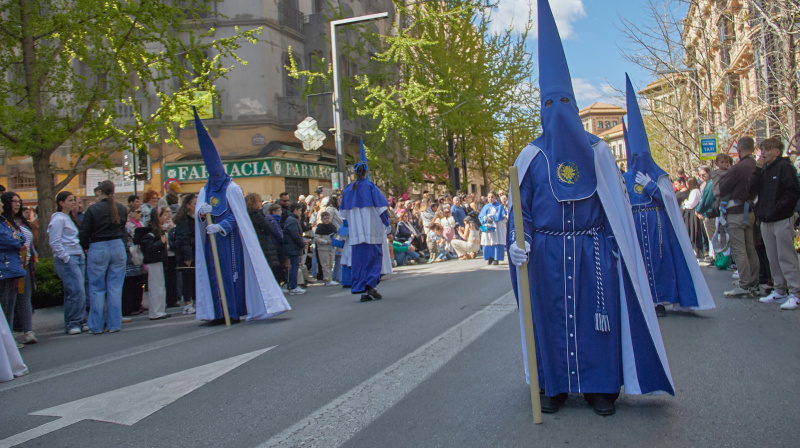 Domingo de Ramos en Granada