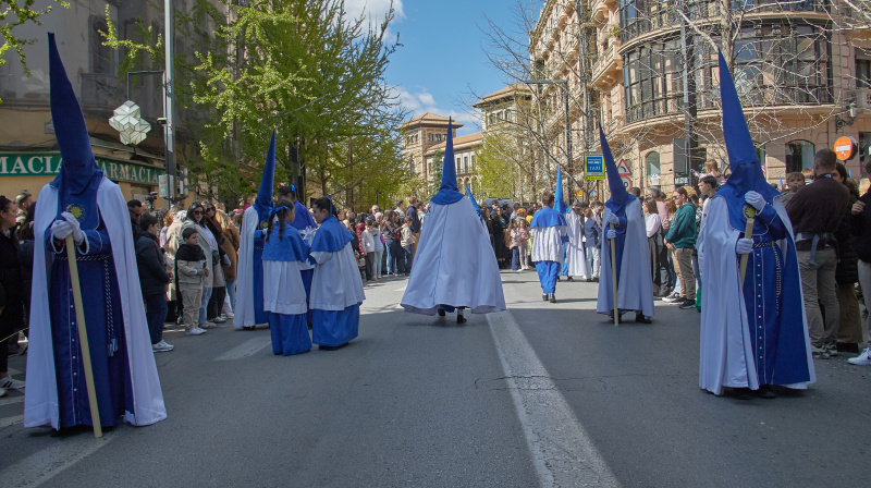 Domingo de Ramos en Granada