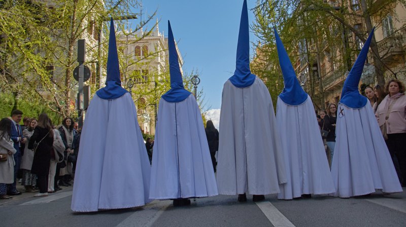 Domingo de Ramos en Granada