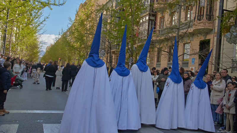 Domingo de Ramos en Granada