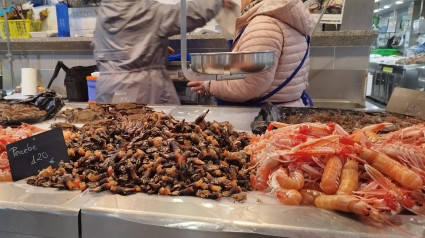 Marisco y percebes en el mercado de la Plaza de Lugo de A Coruña