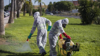 Fumigación por virus del Nilo. COPE