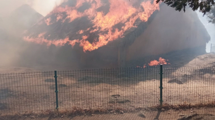 27/08/2024 Imagen del castro vetón de El Raso (Ávila) afectado por las llamas.

Las llamas del incendio forestal de nivel 1 declarado este martes, 27 de agosto, en la localidad de El Raso, en el municipio abulense de Candeleda, han afectado al yacimiento arqueológico de castro vetón, uno de los más completos de la protohistoria de la meseta que data de los siglos V al I a.C.

ESPAÑA EUROPA CASTILLA Y LEÓN SOCIEDAD