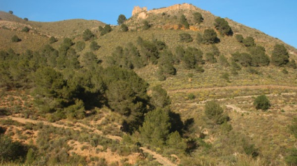 Finca Chuecos, en Águilas