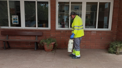 El Ayuntamiento de Puerto Lumbreras refuerza las labores de fumigación
en los centros educativos del municipio de cara al inicio escolar