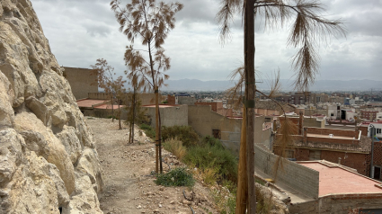 Imagen del Barrio de San Pedro (Lorca)