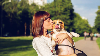 Las enfermedades que acechan a nuestras mascotas a la vuelta del verano