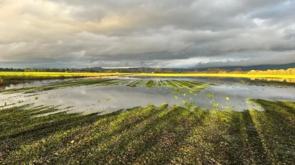 Tormentas en La Rioja