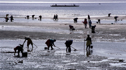 MARISCADORAS