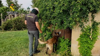 La Guardia Civil de Zamora investiga una de las propiedades