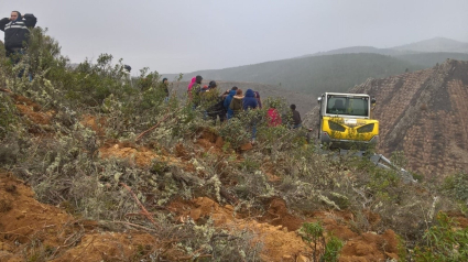 Voluntarios restaurando las laderas del monte de Alcorlo plantando 410.000 plantas en 265 hectáreas