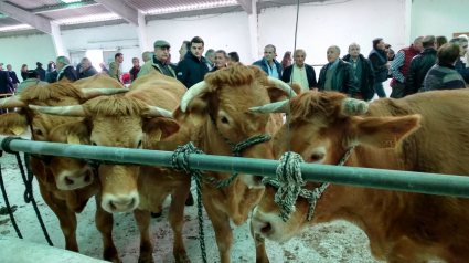 La aparición de nuevos casos de la EHE preocupa a los ganaderos lucenses