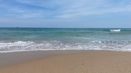 PLAYA DE EL SALER