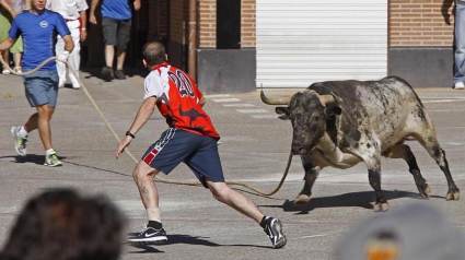 Imagen de archivo de un toro ensogado.