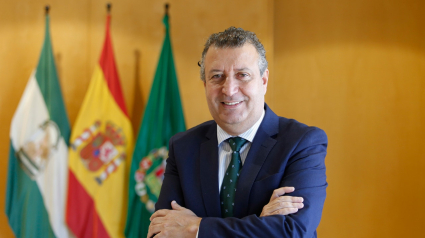 Javier Fernández, Presidente de la Diputación de Sevilla