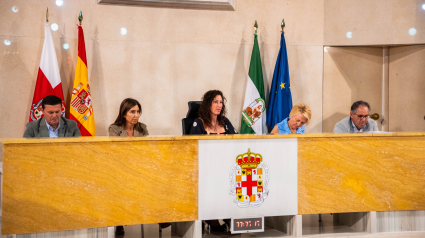 Pleno en el Ayuntamiento de Almería.