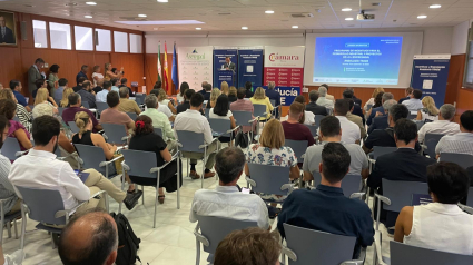 Un momento del acto de presentación incentivos Andalucía TRADE.