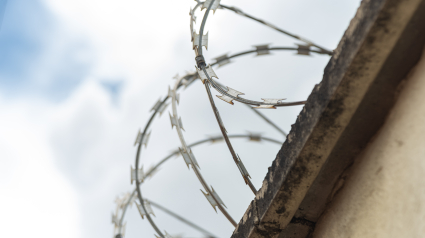 Photo of a residential security fence