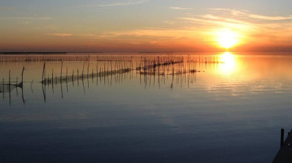 L'Albufera quiere ser reserva natural de la Biosfera