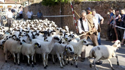 La Fiesta de la Trashumancia recordará a las personas que se quedaban en la sierra riojana