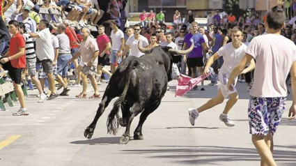 BOUS AL CARRER