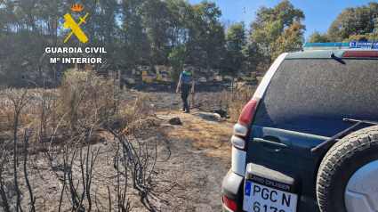 Investigado un apicultor como presunto autor del incendio forestal de Brañuelas (León)